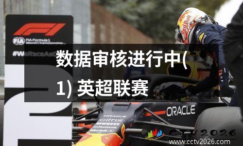 数据审核进行中(1) 英超联赛