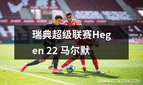 瑞典超级联赛Hegen 22 马尔默