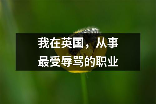 我在英国，从事最受辱骂的职业