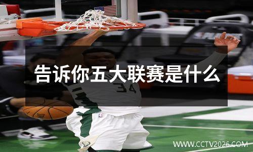 告诉你五大联赛是什么