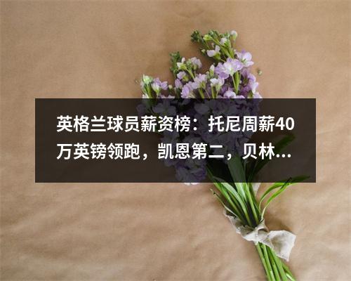 英格兰球员薪资榜：托尼周薪40万英镑领跑，凯恩第二，贝林第五