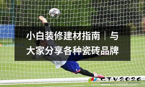 小白装修建材指南｜与大家分享各种瓷砖品牌