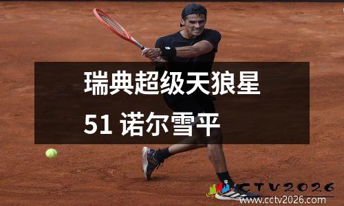 瑞典超级天狼星51 诺尔雪平