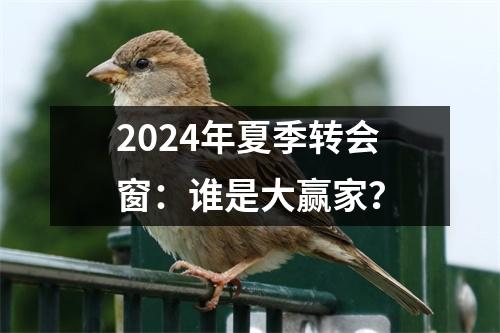 2024年夏季转会窗：谁是大赢家？