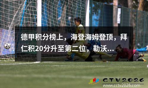 德甲积分榜上，海登海姆登顶，拜仁积20分升至第二位，勒沃库森仅排名第八。