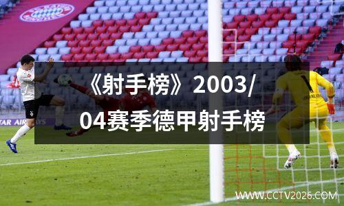 《射手榜》2003/04赛季德甲射手榜