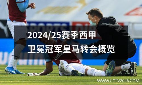 2024/25赛季西甲卫冕冠军皇马转会概览