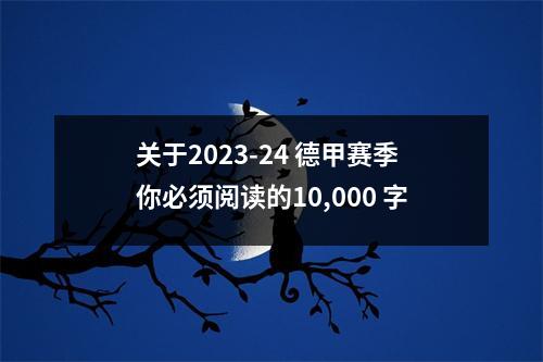 关于2023-24 德甲赛季你必须阅读的10,000 字
