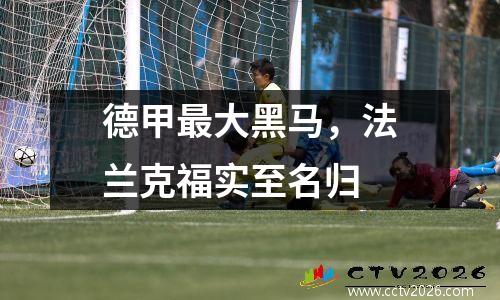 德甲最大黑马，法兰克福实至名归