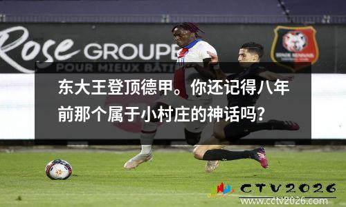 东大王登顶德甲。你还记得八年前那个属于小村庄的神话吗？