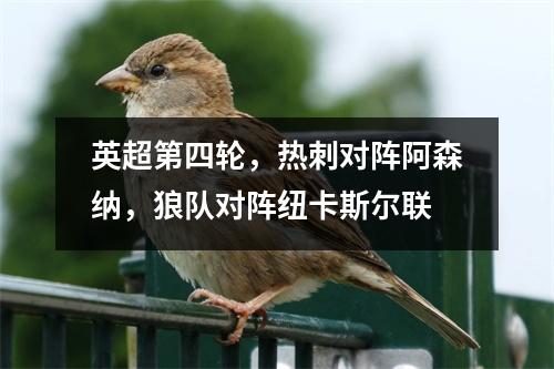 英超第四轮，热刺对阵阿森纳，狼队对阵纽卡斯尔联