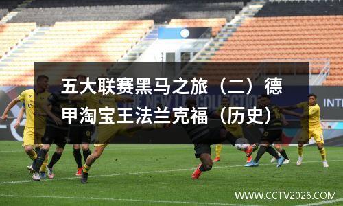 五大联赛黑马之旅（二）德甲淘宝王法兰克福（历史）