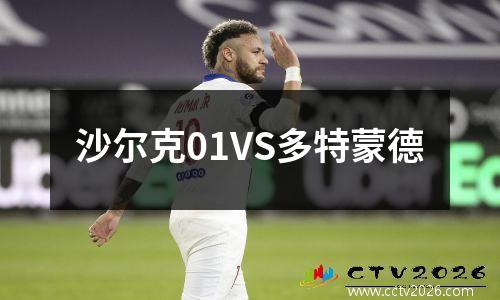 沙尔克01VS多特蒙德