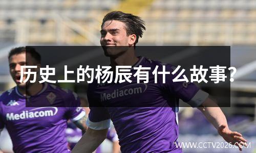 历史上的杨辰有什么故事？