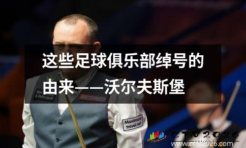 这些足球俱乐部绰号的由来——沃尔夫斯堡