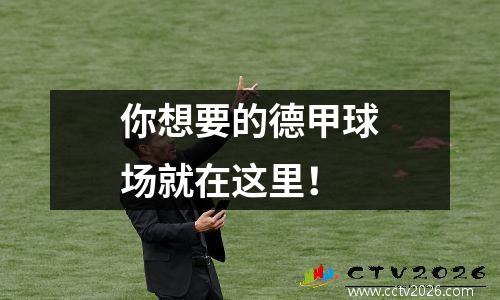 你想要的德甲球场就在这里！