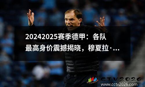 20242025赛季德甲：各队最高身价震撼揭晓，穆夏拉·维尔茨领跑