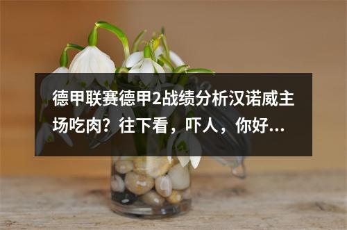 德甲联赛德甲2战绩分析汉诺威主场吃肉？往下看，吓人，你好，粤语