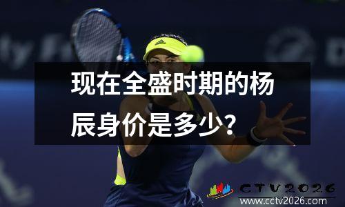 现在全盛时期的杨辰身价是多少？