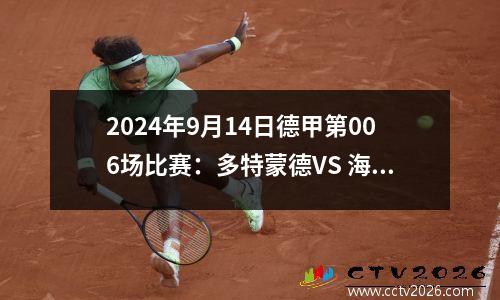 2024年9月14日德甲第006场比赛：多特蒙德VS 海登海姆