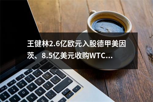 王健林2.6亿欧元入股德甲美因茨、8.5亿美元收购WTC背后