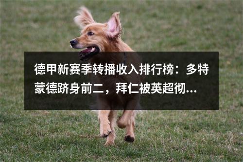 德甲新赛季转播收入排行榜：多特蒙德跻身前二，拜仁被英超彻底摧毁