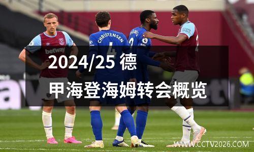 2024/25 德甲海登海姆转会概览
