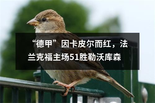 “德甲”因卡皮尔而红，法兰克福主场51胜勒沃库森