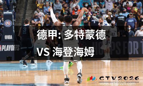 德甲: 多特蒙德VS 海登海姆