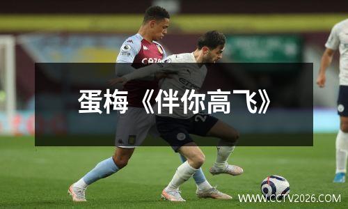 蛋梅《伴你高飞》