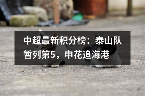 中超最新积分榜：泰山队暂列第5，申花追海港