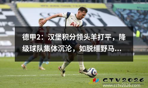 德甲2：汉堡积分领头羊打平，降级球队集体沉沦，如脱缰野马！