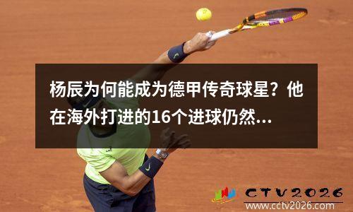 杨辰为何能成为德甲传奇球星？他在海外打进的16个进球仍然是一个纪录，但他在国安踢不了球