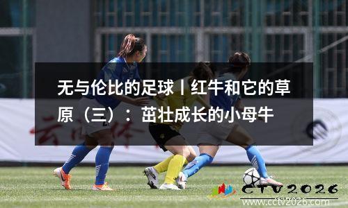 无与伦比的足球丨红牛和它的草原（三）：茁壮成长的小母牛