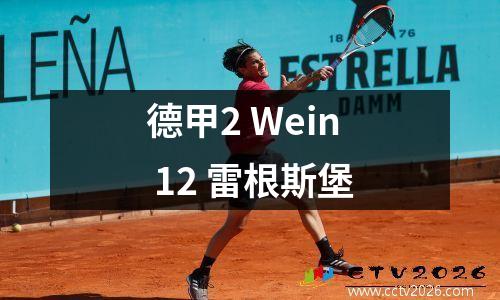 德甲2 Wein 12 雷根斯堡