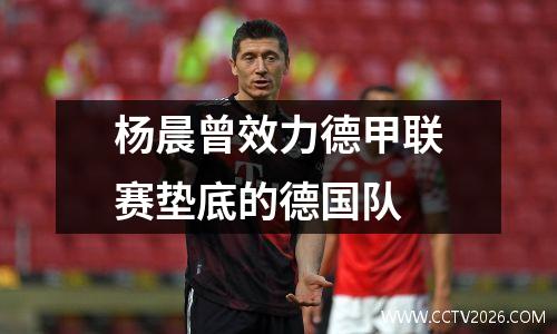 杨晨曾效力德甲联赛垫底的德国队