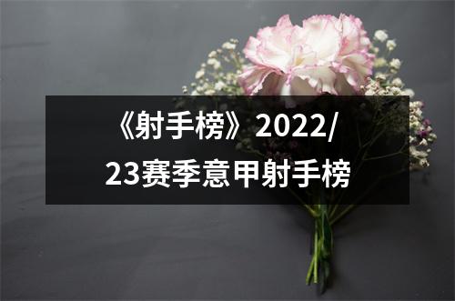 《射手榜》2022/23赛季意甲射手榜