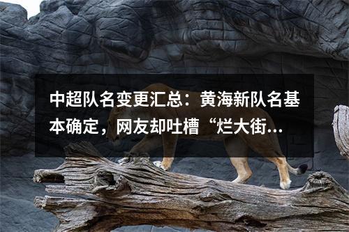 中超队名变更汇总：黄海新队名基本确定，网友却吐槽“烂大街”