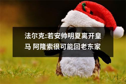 法尔克:若安帅明夏离开皇马 阿隆索很可能回老东家