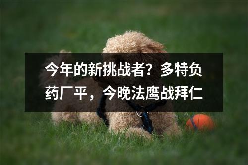 今年的新挑战者？多特负药厂平，今晚法鹰战拜仁