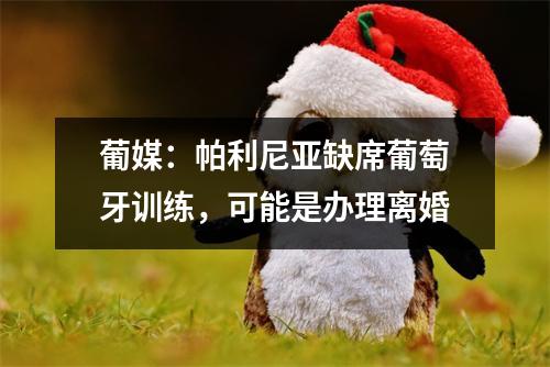 葡媒：帕利尼亚缺席葡萄牙训练，可能是办理离婚