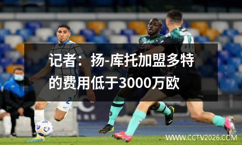 记者：扬-库托加盟多特的费用低于3000万欧