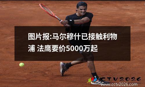图片报:马尔穆什已接触利物浦 法鹰要价5000万起