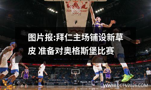 图片报:拜仁主场铺设新草皮 准备对奥格斯堡比赛