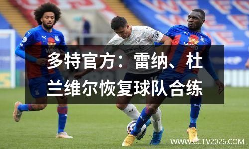 多特官方：雷纳、杜兰维尔恢复球队合练