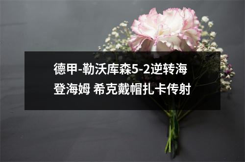 德甲-勒沃库森5-2逆转海登海姆 希克戴帽扎卡传射