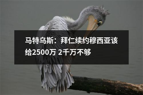 马特乌斯：拜仁续约穆西亚该给2500万 2千万不够