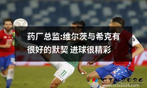 药厂总监:维尔茨与希克有很好的默契 进球很精彩