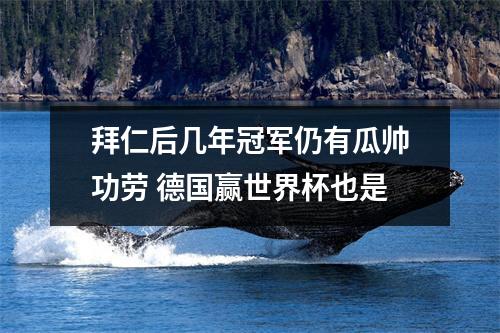 拜仁后几年冠军仍有瓜帅功劳 德国赢世界杯也是