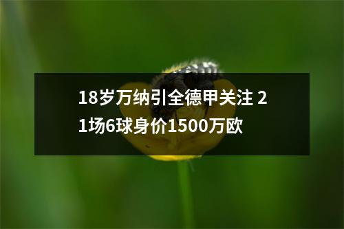 18岁万纳引全德甲关注 21场6球身价1500万欧